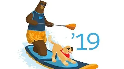 Salesforce Summer 2019 release promotional graphic